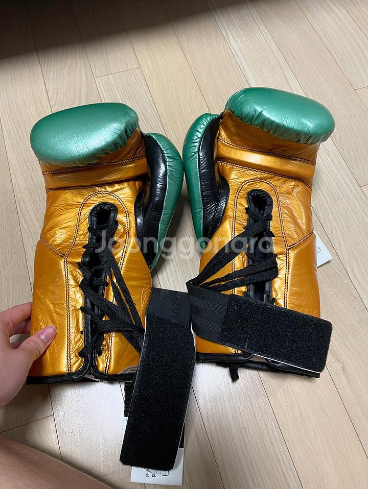 복싱 글러브 클레토 레예스 10oz wbc에디션--1