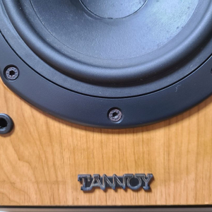 Tannoy mercury m2 스피커