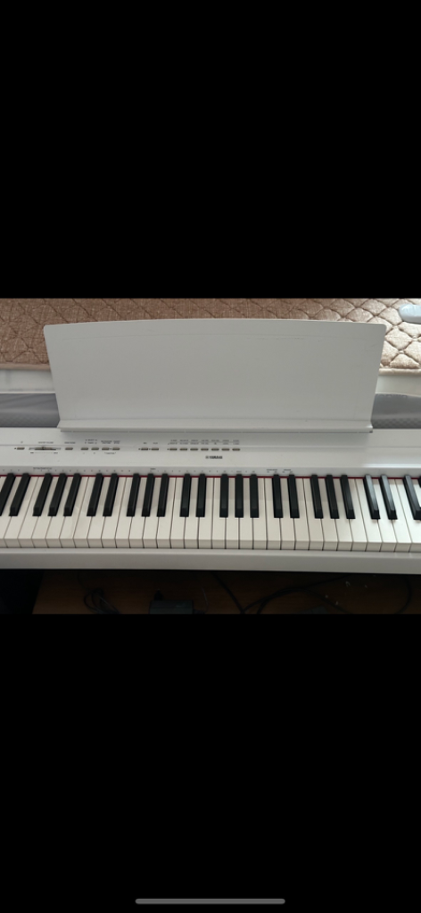 Yamaha p-115 88 [야마하디지털 피아노88]