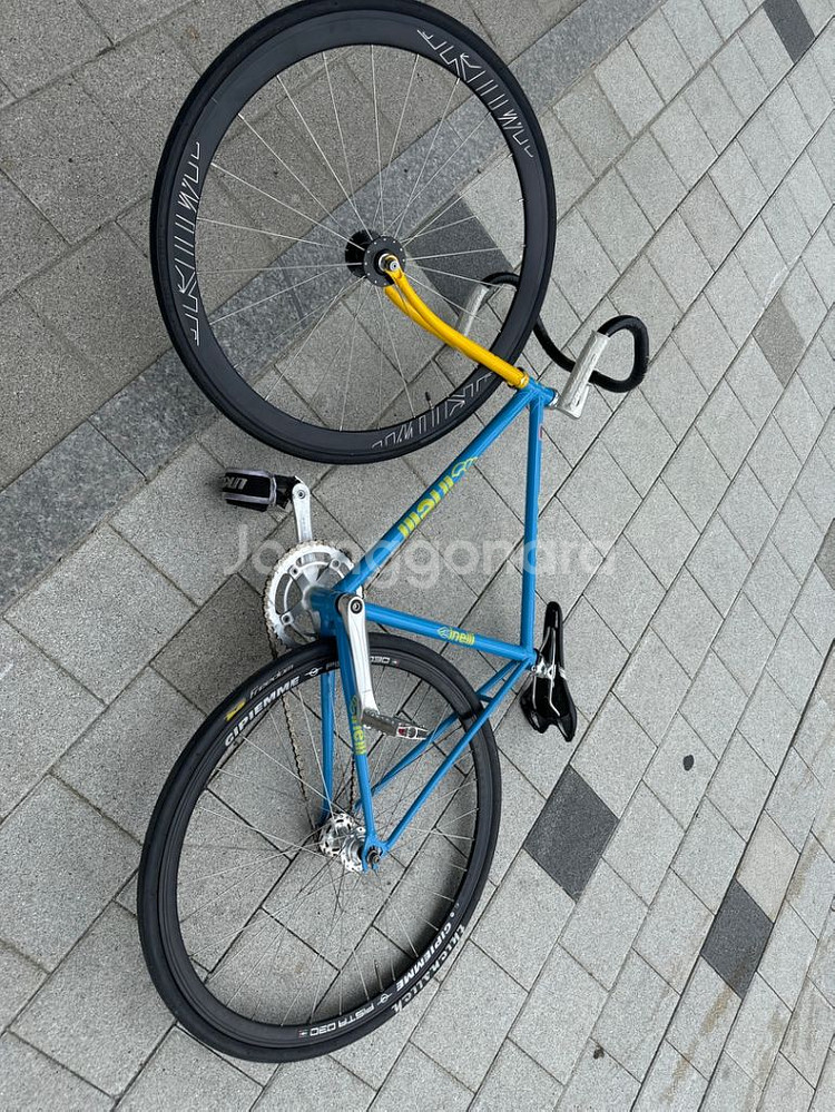 치넬리 경륜 팝니다--1