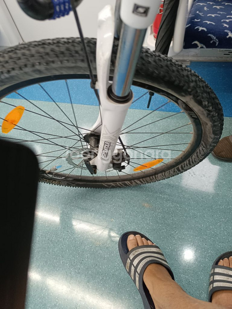 자이언트 mtb--1