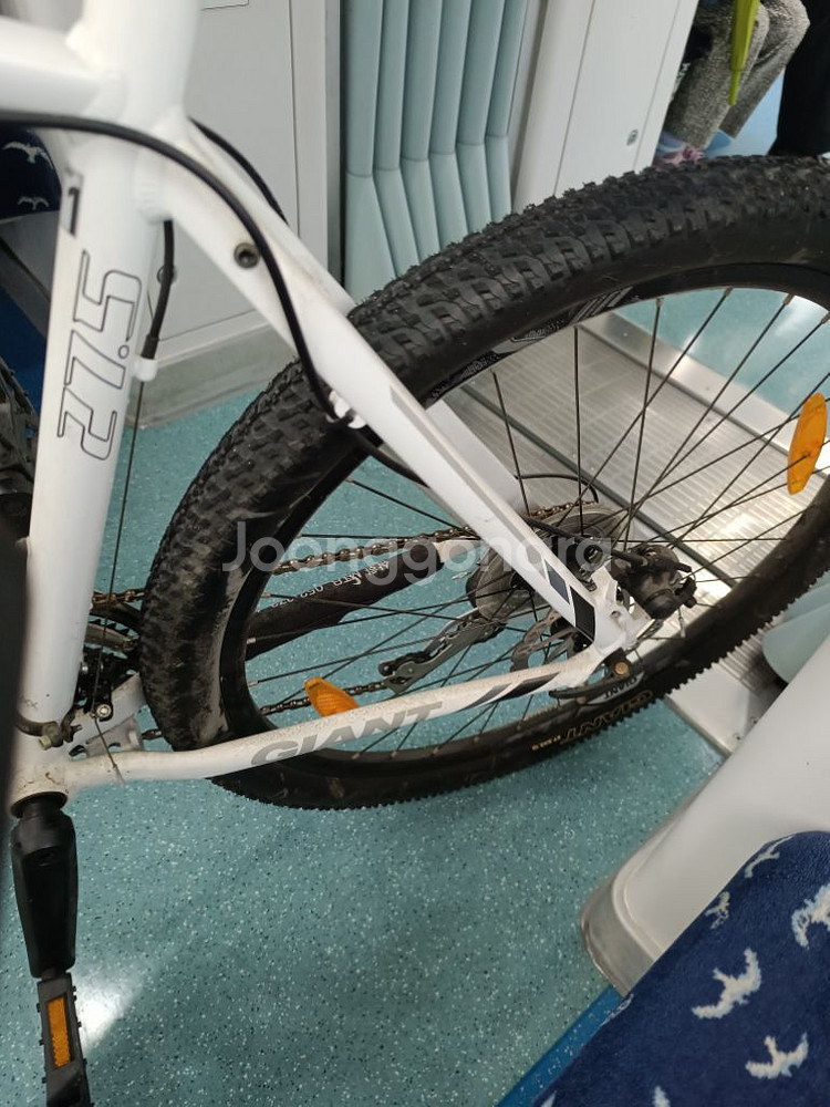 자이언트 mtb--3