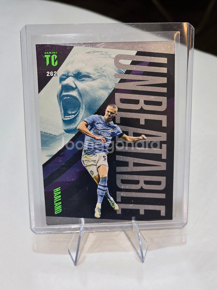 파니니 탑클래스 2024 언비터블 홀란--0