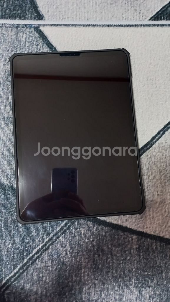 아이패드 프로 11인치 4세대 m2 256기가--6