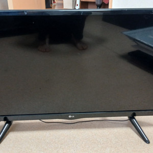 LG 28인치모니터겸LED TV.