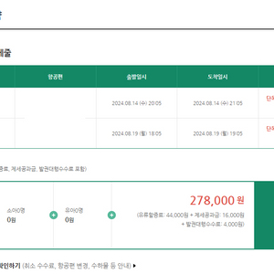 대구-제주 왕복 티켓