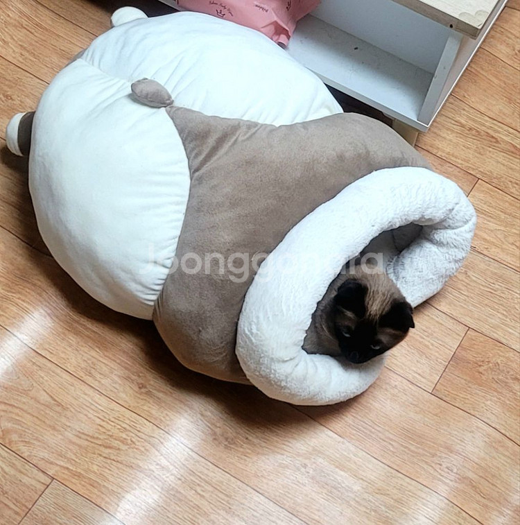고양이 숨숨집 팝니당.--3