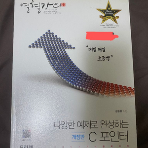 다양한 예제로 완성하는 C포인터 개정판