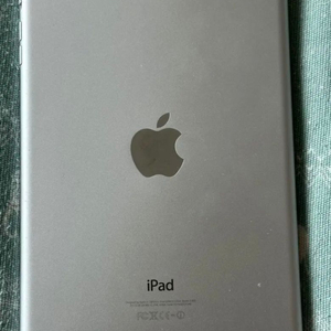 iPad mini2