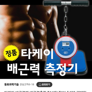 타케이 배근력 측정기