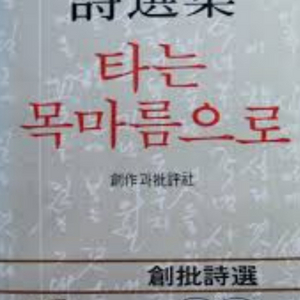 [김지하 시집] 1982년 초판 타는 목마름으로~!!