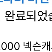 넥슨카드(넥슨핀) 5000원권 판매합니다