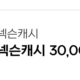 넥슨캐시 30000팜