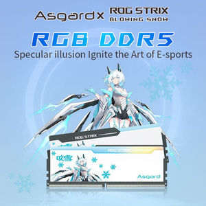 ddr5 rog asgard 6800 32기가 메모리