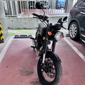 팬텀 엘로이 125cc