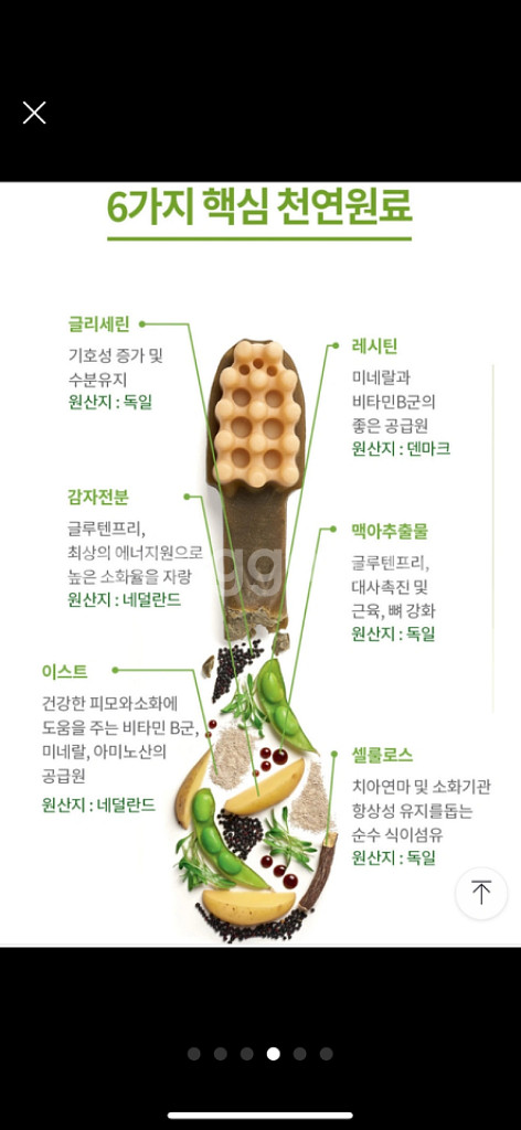 윔지스 버라이어티팩 강아지개껌--4