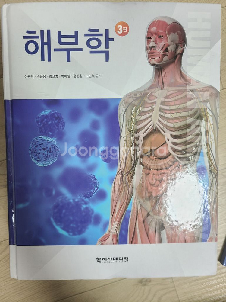 해부학 3판 대한나래--0