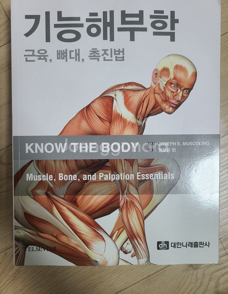 기능해부학 대한나래--0