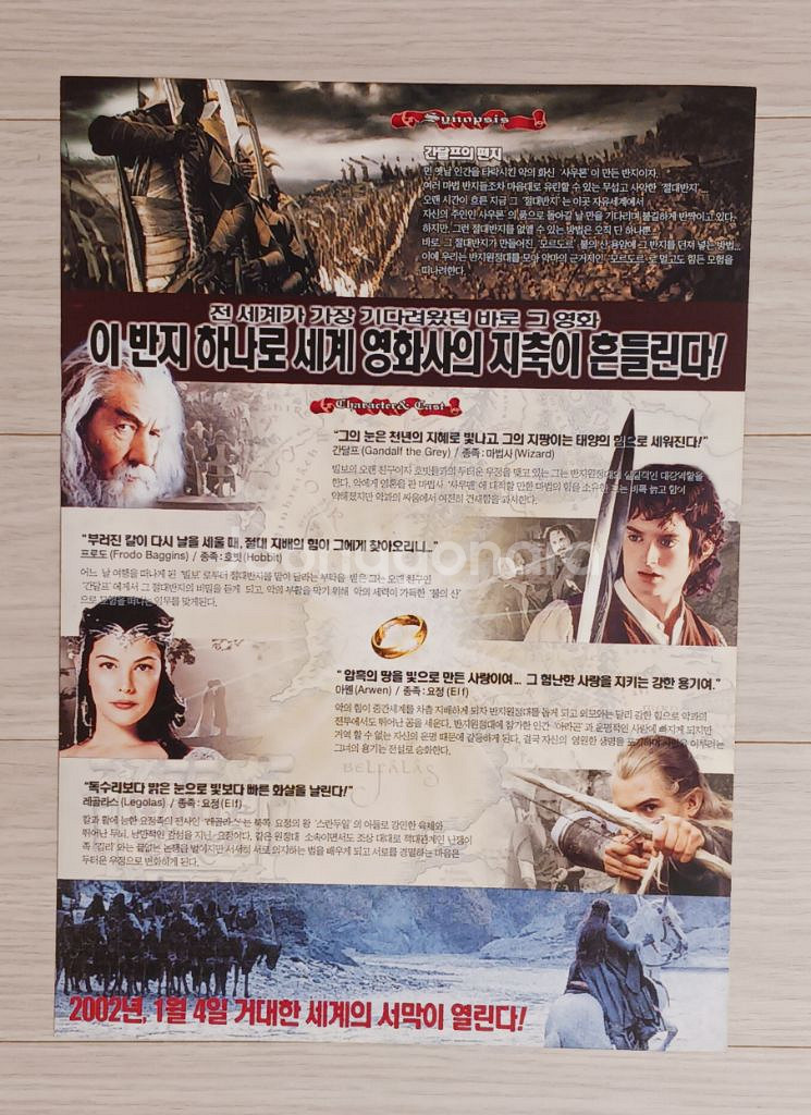 반지의제왕:반지원정대(2002년)--1
