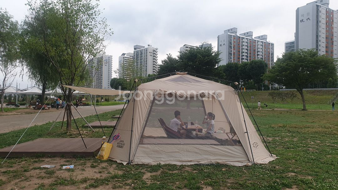 제드 슈퍼오토팔레스 팝니다--1