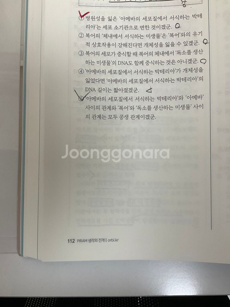 2025 피램 생각의발단--2