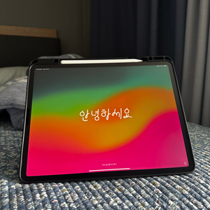 아이패드 프로 4세대 12.9 셀룰러 + 256gb