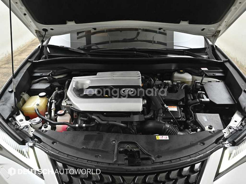 @19년식 UX 250h AWD 전국최저가격--5