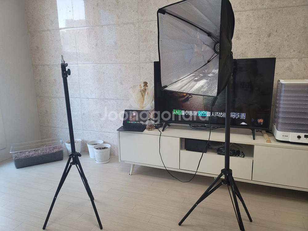 아트100 포토 스튜디오 2개 40x40--2