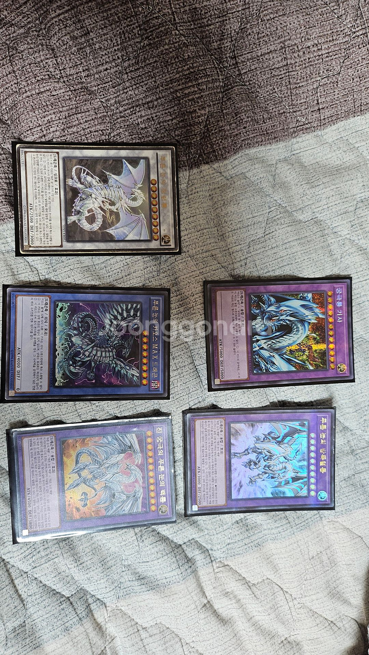 유희왕카드--5
