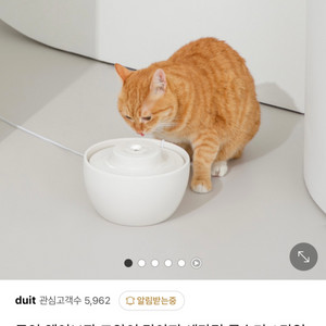 두잇 웨이브팟 강아지 고양이 급수기 정수기