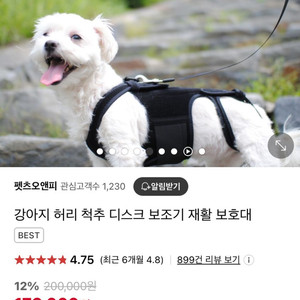 강아지 허리디스크 보호대