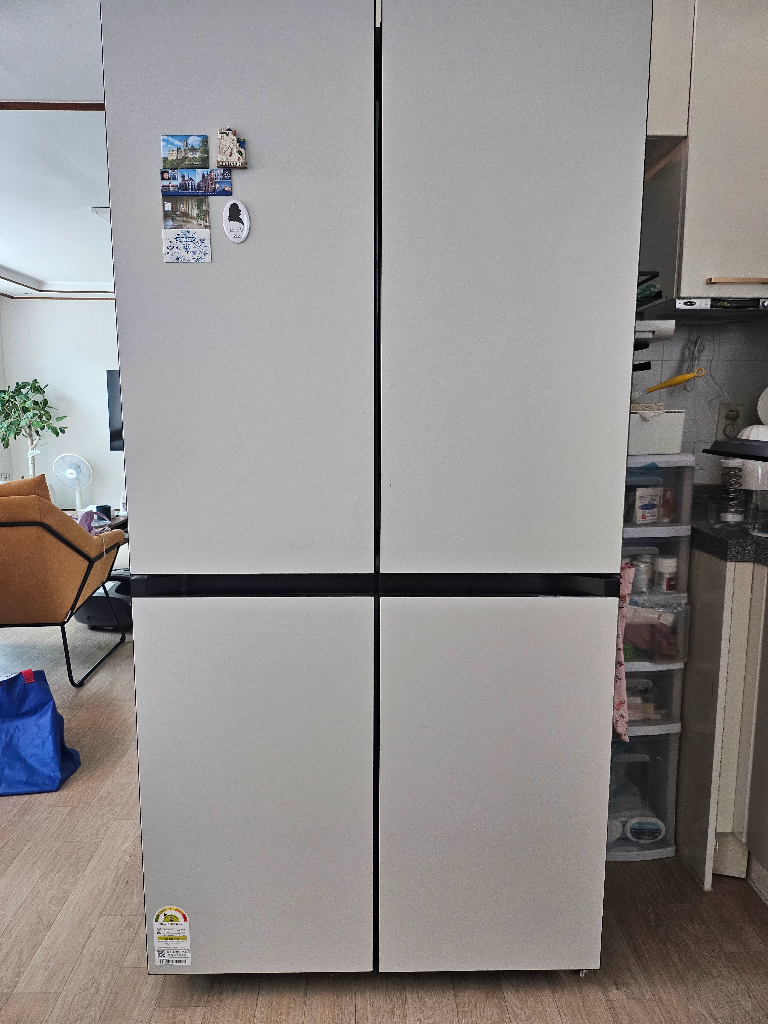 삼성 비스포크 냉장고 848L(RF85492N101)