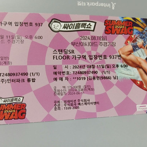 싸이 부산콘서트