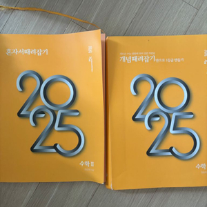 2025 정승제 개때잡 수2