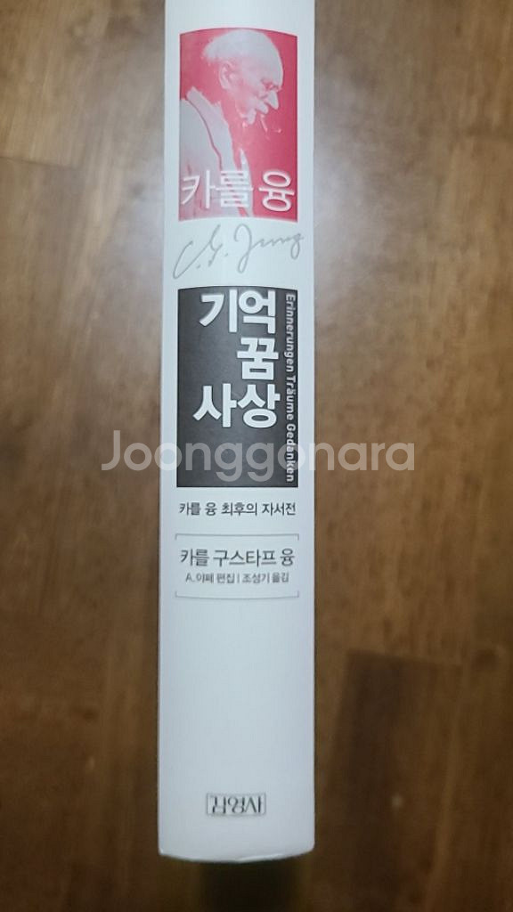 카를늉 기억 꿈 사상--1