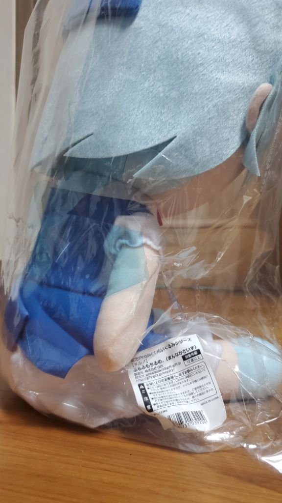 동방 프로젝트 치르노 만나카 후모후모 이미지