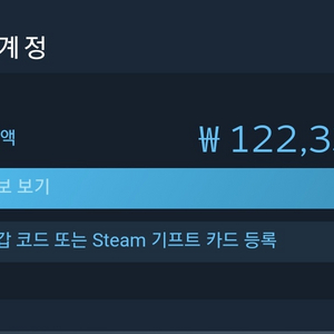 스팀월렛 12만원 70%절찬판매중!