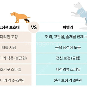 파텔라 척추,고관절,슬개골 보정수트팝니다 L사이즈