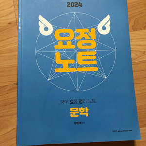 2024/국어/문학/김병태교수/공단기