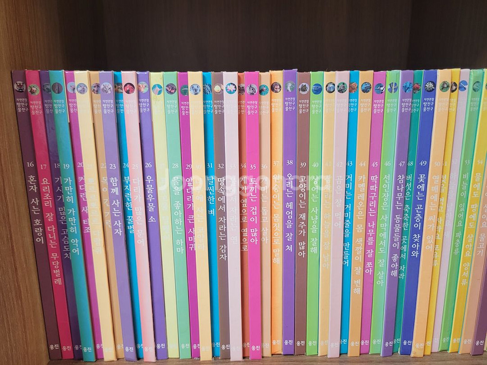 웅진 전집 땅친구 물친구--1