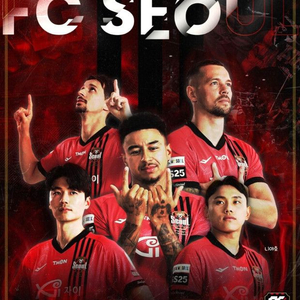 fc서울 vs 인천 원정석 2연석 구합니다