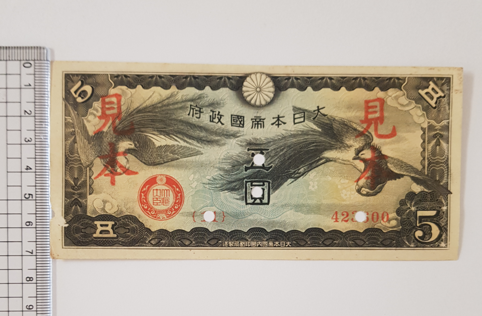 일본 봉황 군표 5원 견본 지폐 준미급
