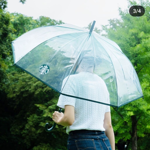 망상오토 캠핑장 구합니다