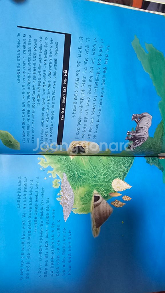 눈으로 보는 한국역사책(교원)--1