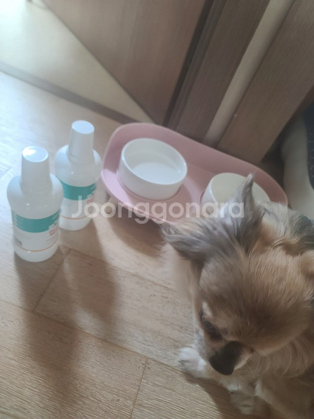 ﻿펫츠워드 강아지 고양이 덴탈워터 입냄새 치석제거--3
