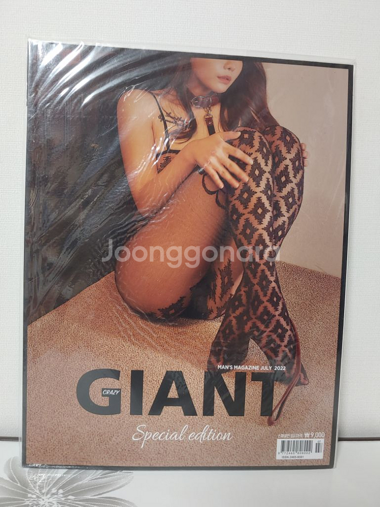 더 플레이어 자이언트 잡지--3