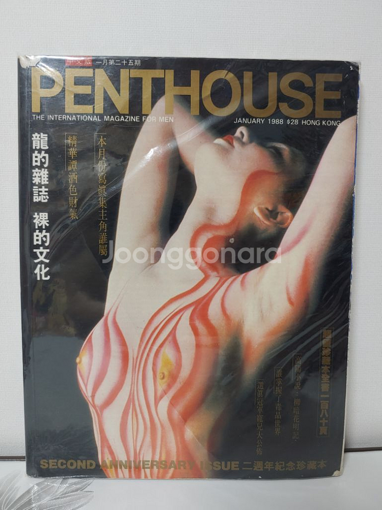 더 플레이어 자이언트 잡지--6