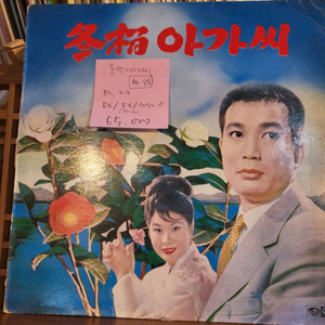 동백아가씨.87.지구.lp