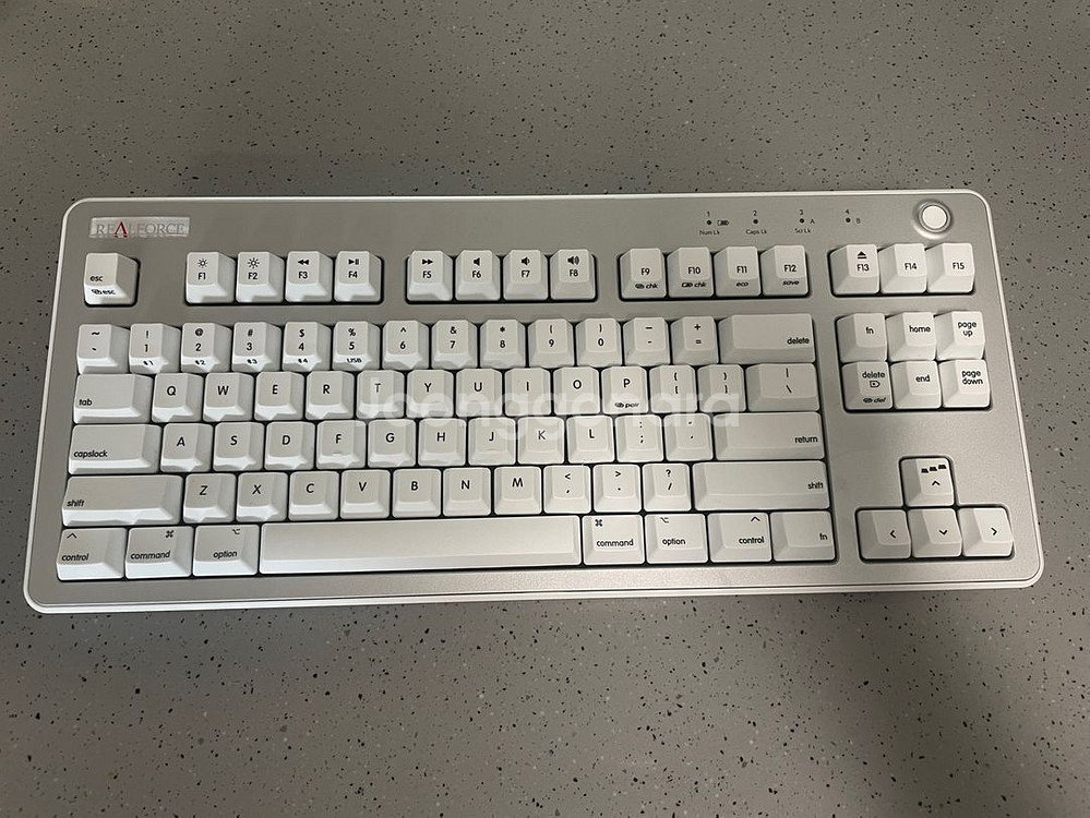 리얼포스 R3 for Mac 45g 텐키리스--2