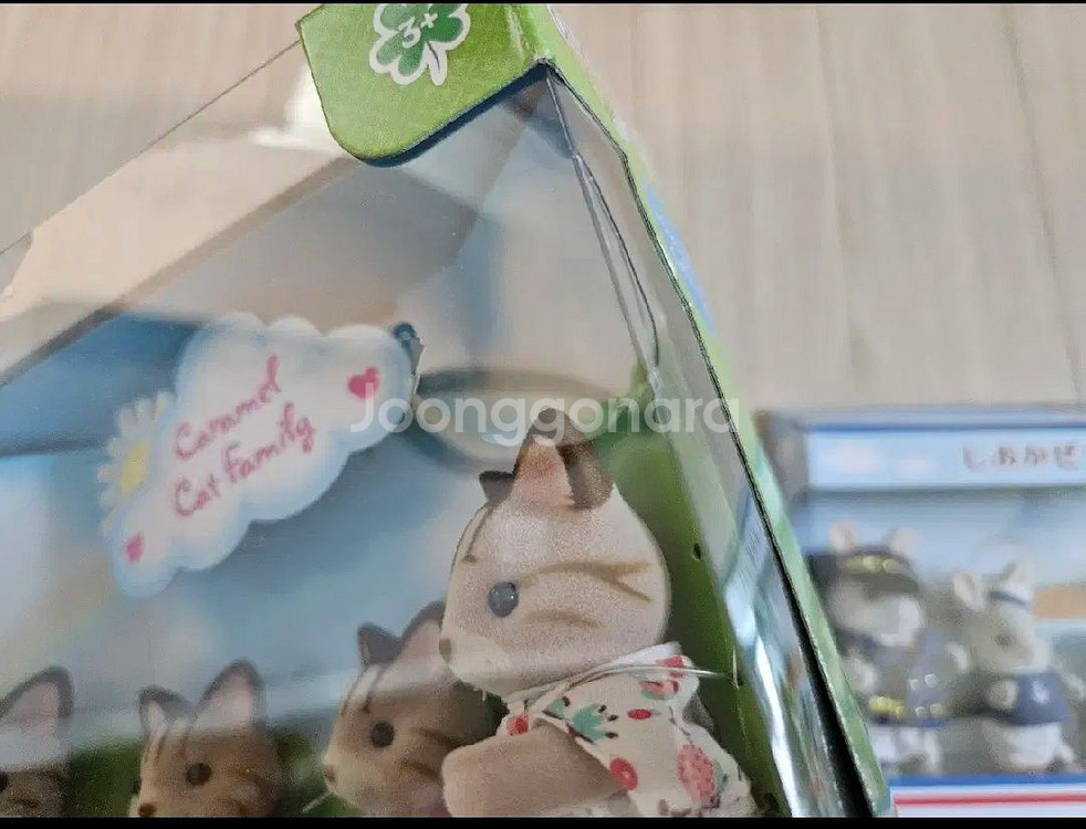 실바니안 시마네코(줄무늬 고양이/캬라멜 캣) 가족, 시--1
